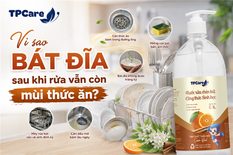 Vì sao bát đĩa sau khi rửa vẫn còn mùi thức ăn?